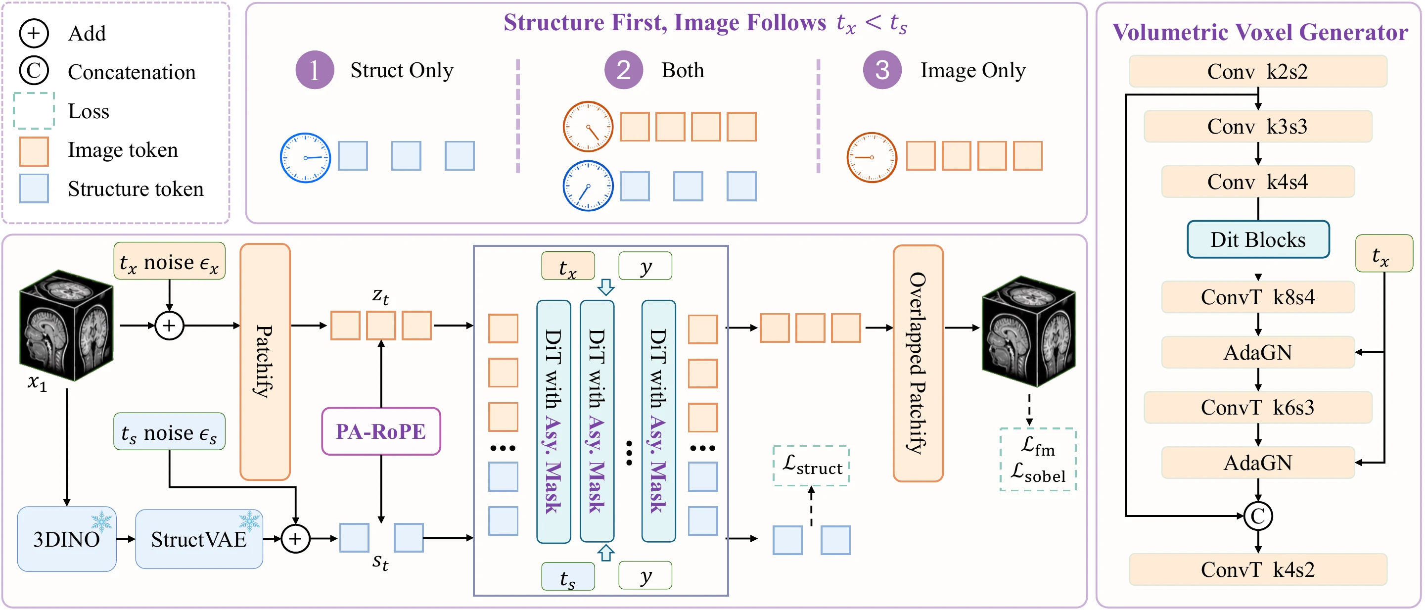 VoxStruct3D framework with image and structure streams